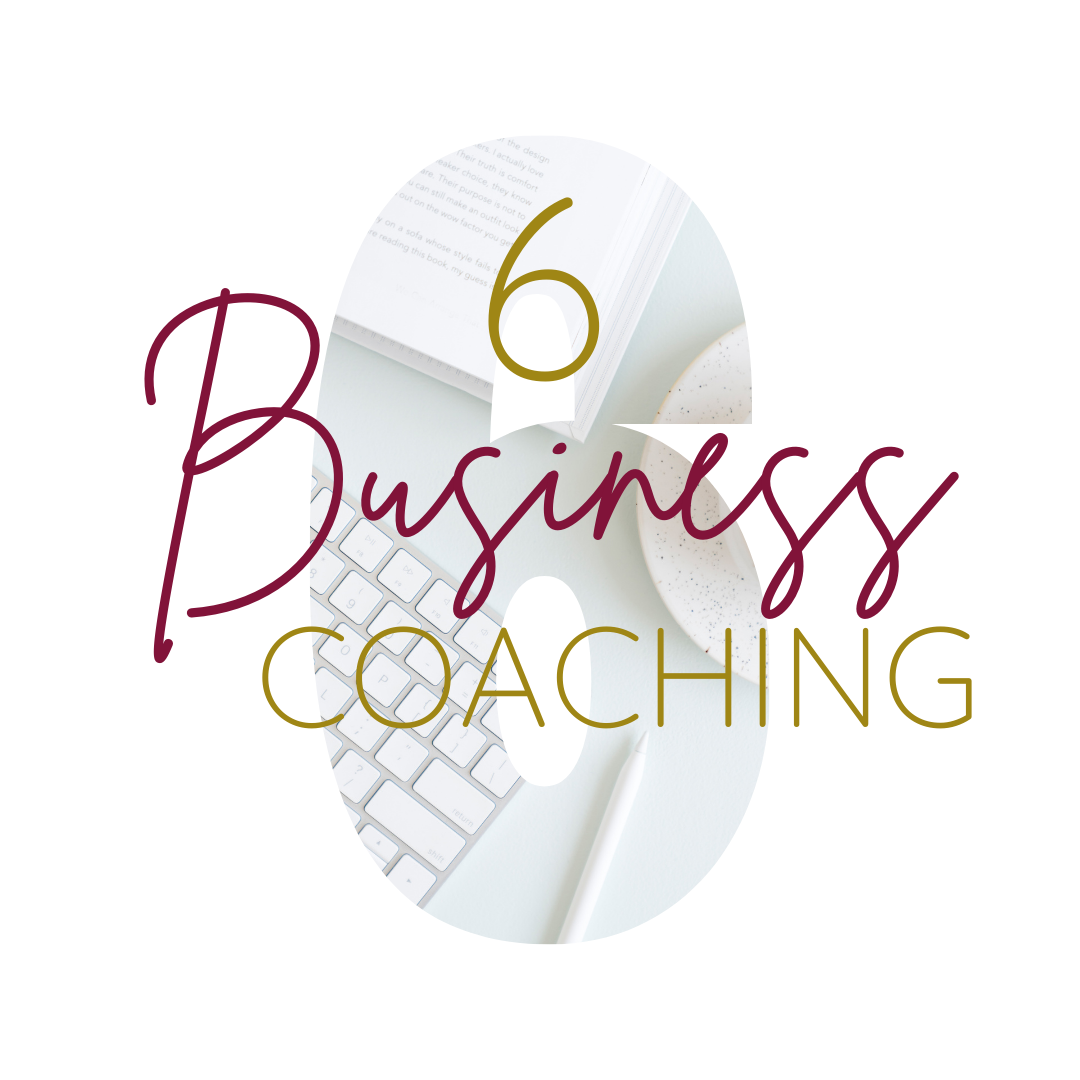 6 months of business coaching